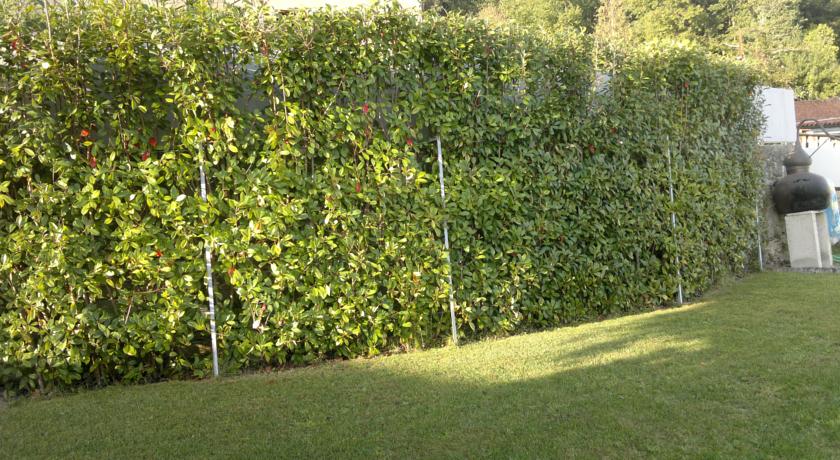 T2 com Piscina Privada