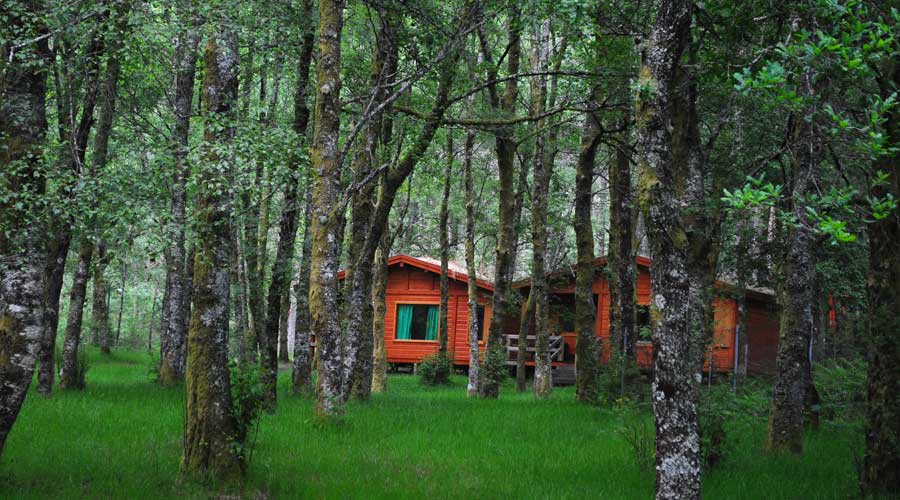 Bungalows da Peneda