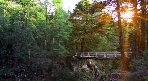 Pretende visitar a Serra do Gerês mas não sabe bem por onde começar?