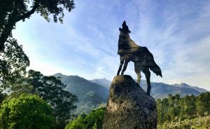 Pretende visitar a Serra do Gerês mas não sabe bem por onde começar?