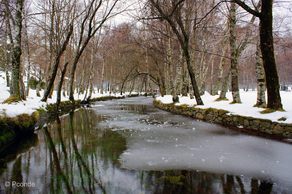 Bungalow na Serra da Estrela