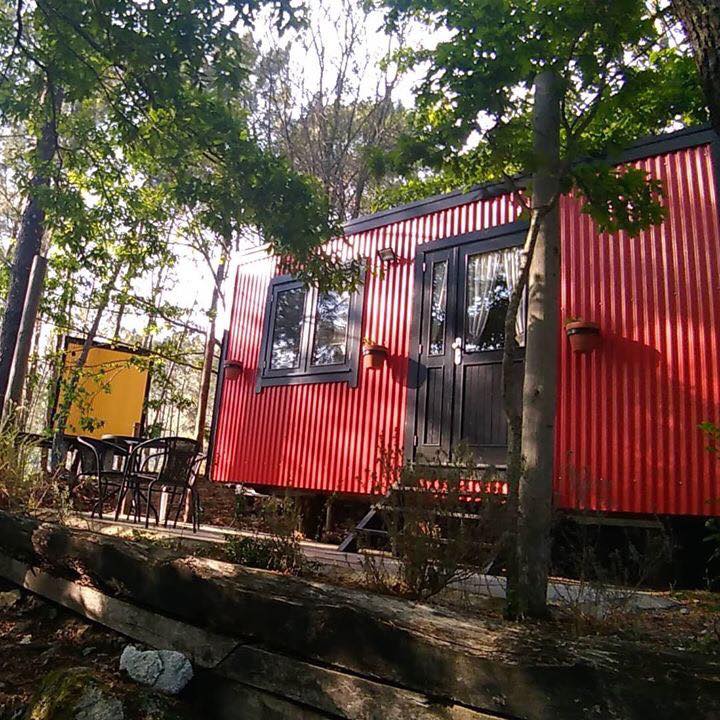 Bungalow T0
