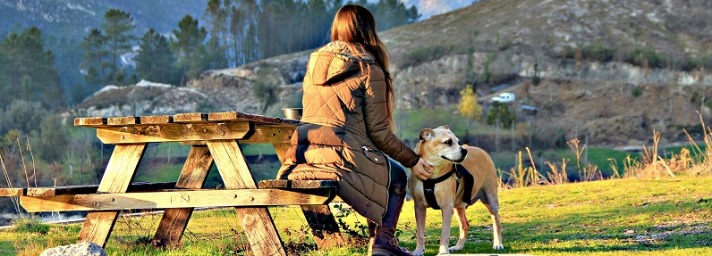 Casas de Ferias que aceitam animais