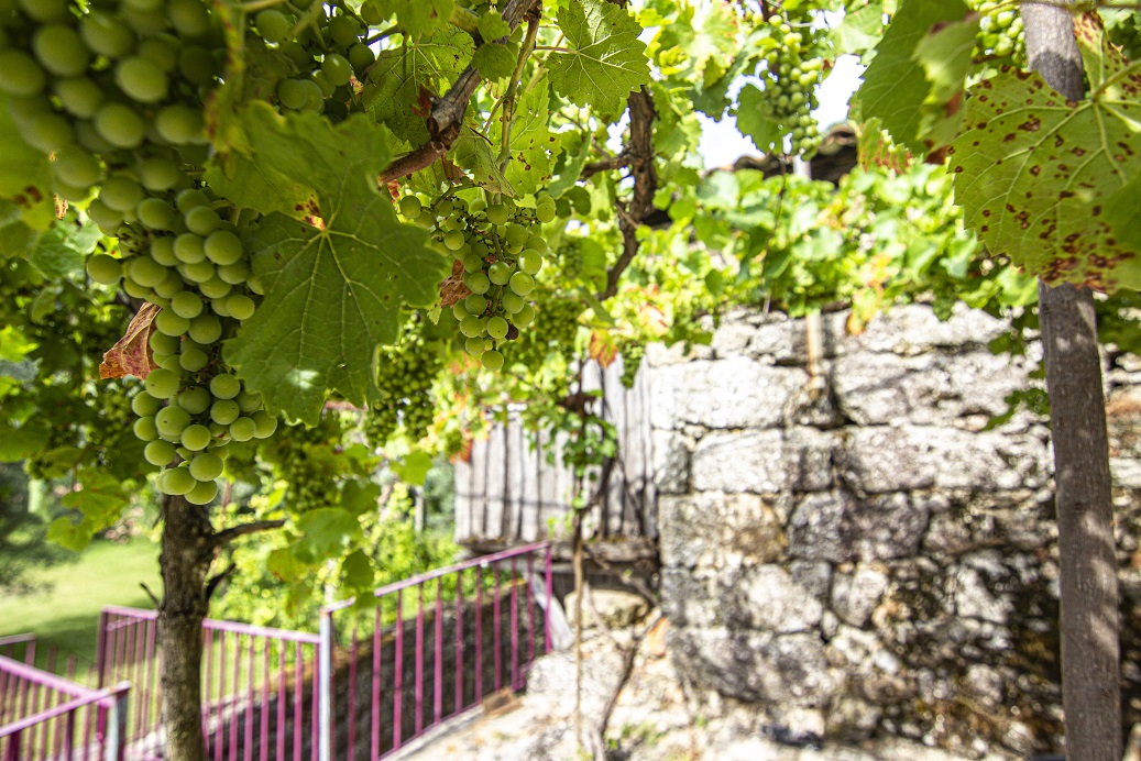 Quinta Privada T6 em Terras de Bouro