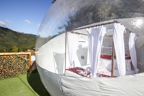 Bubble Tend