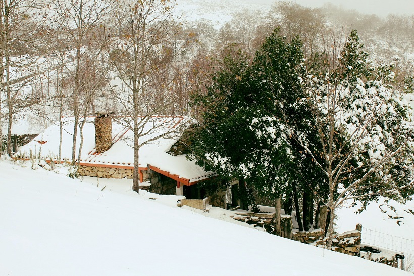 Casa da Peneda T1