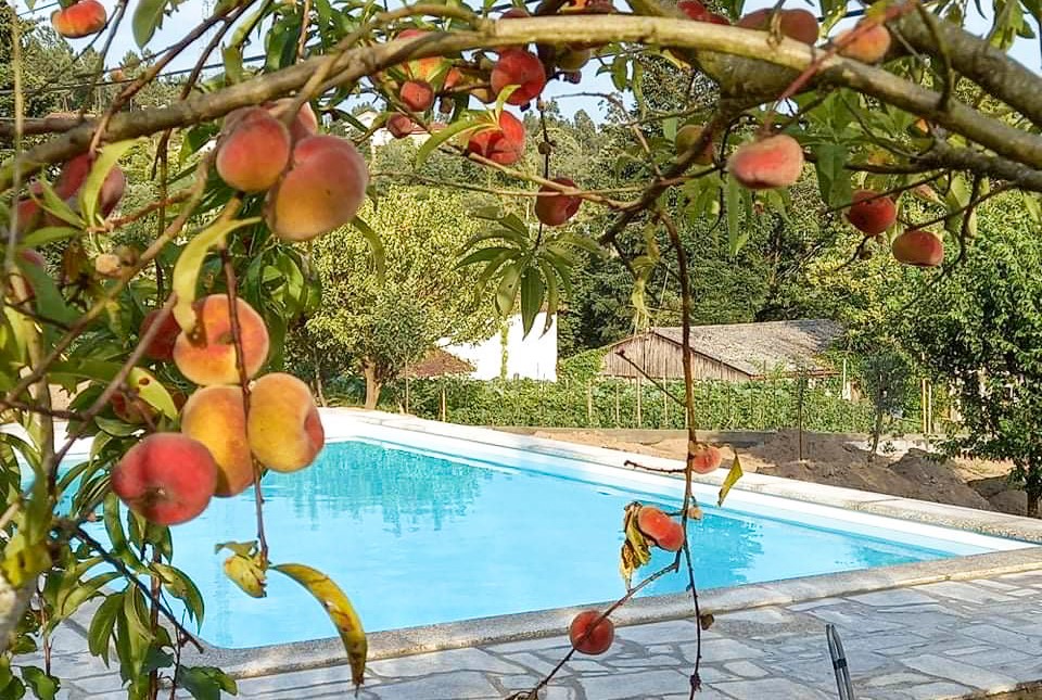 T2 com piscina privada em Arcos de Valdevez