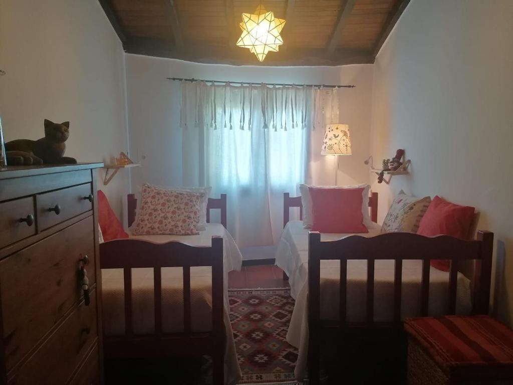 T5 com piscina privada em Valdosende