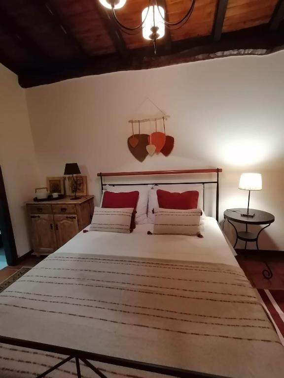 T5 com piscina privada em Valdosende