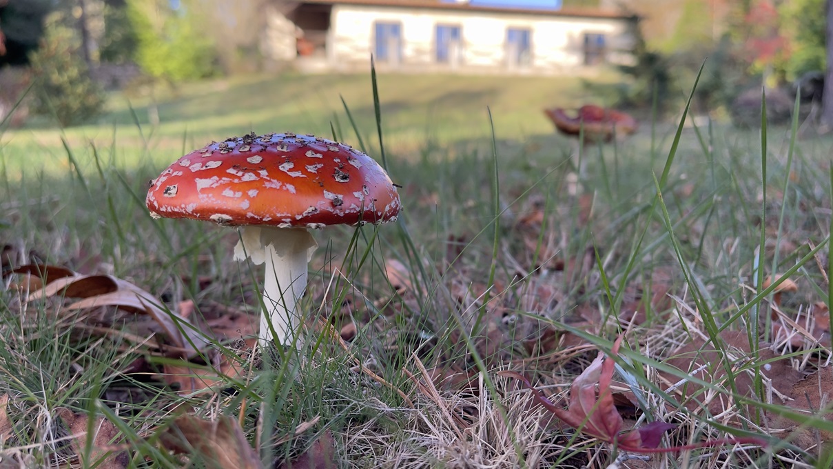 Casa Natura Gerês