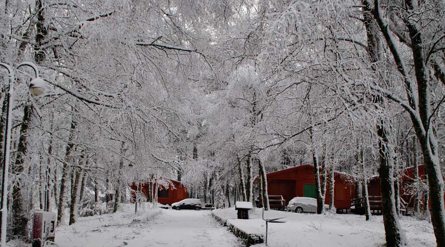 Bungalows da Peneda