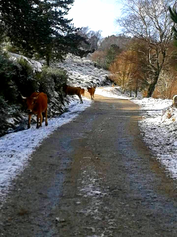 Casa de Pedra para 2 pessoas Gerês